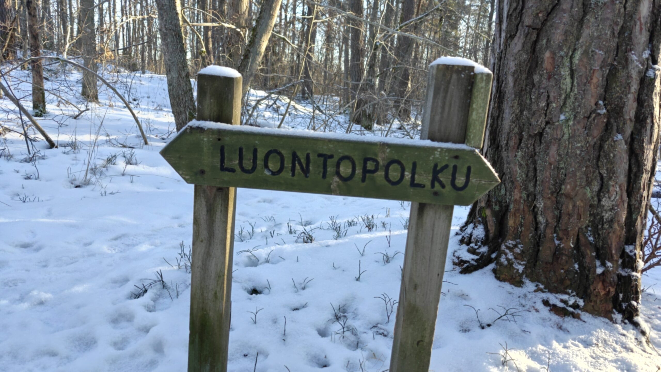 Talvinen luontopolku