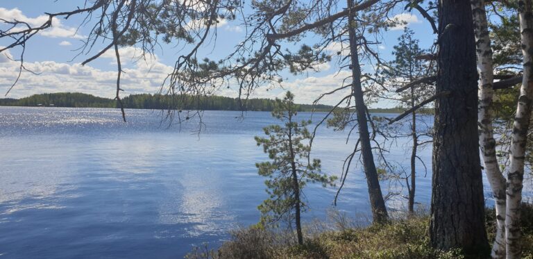 Kurjenrahka-savojärvi