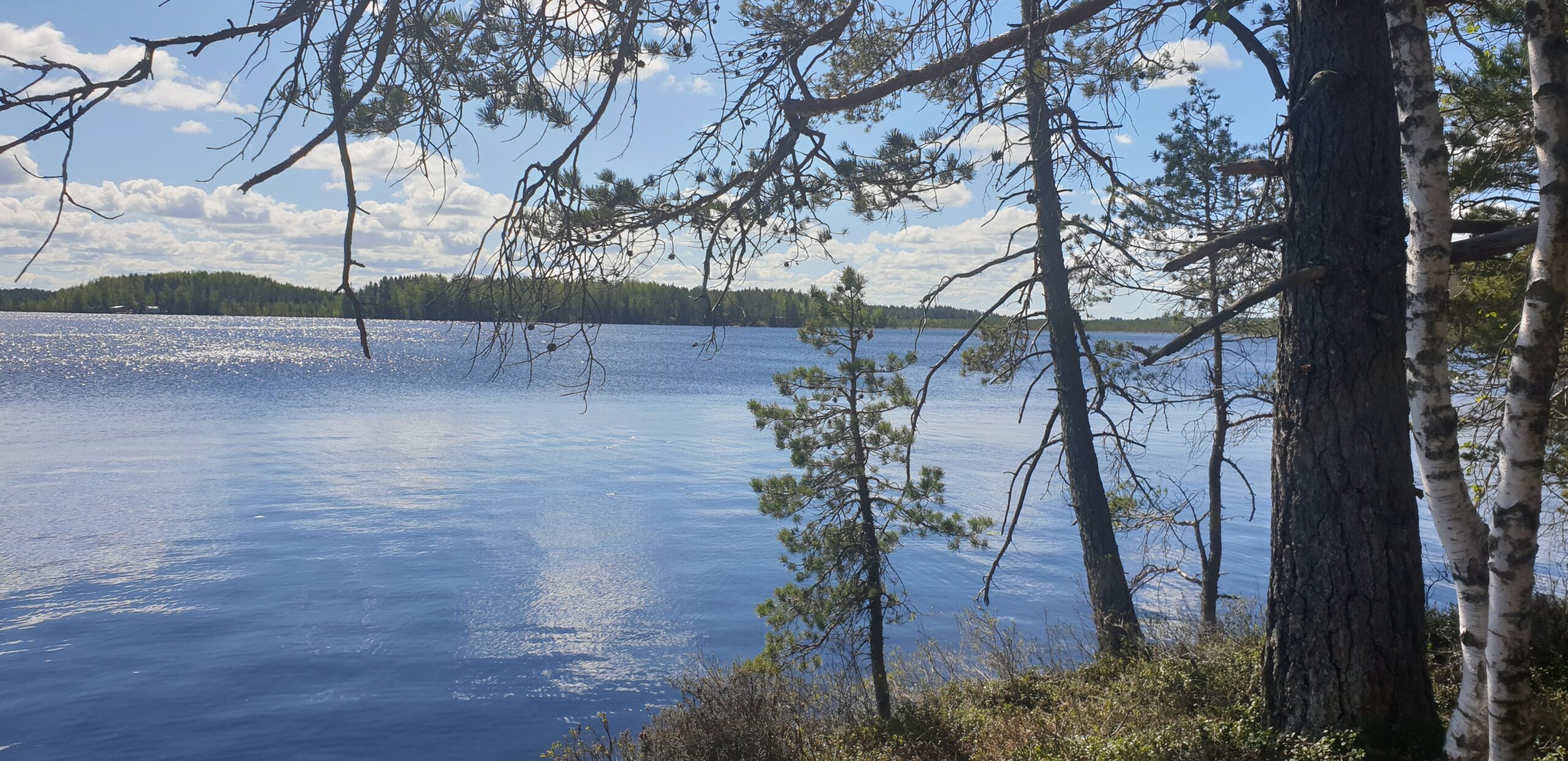 Kurjenrahka-savojärvi