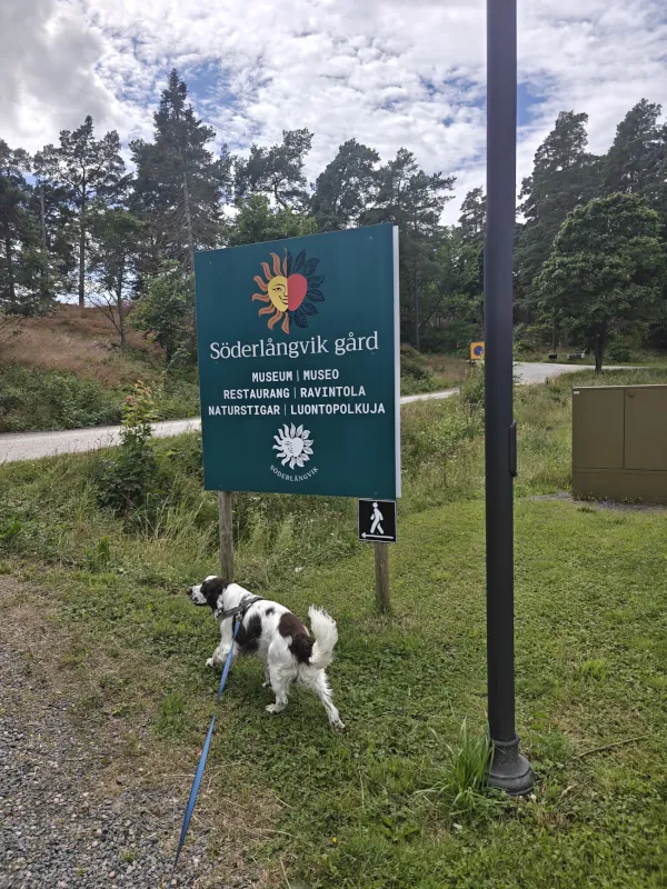 Koiralle soveltuva päiväretkikohde-Söderlångvik